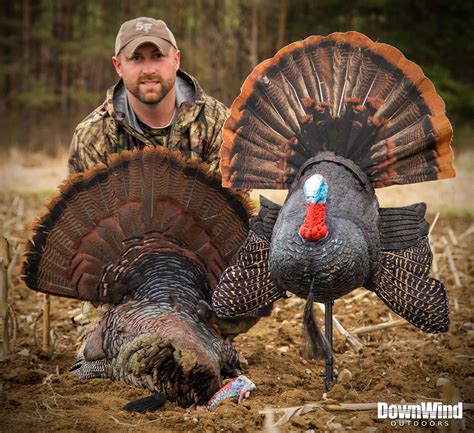 Turkey Hunting Gallery Image 1