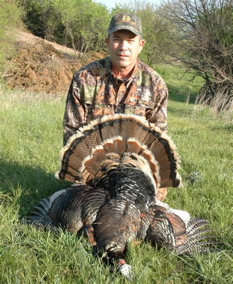 Turkey Hunting Gallery Image 2