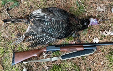 Turkey Hunting Gallery Image 3