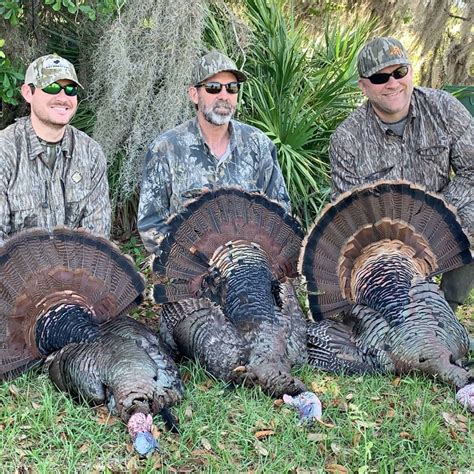 Turkey Hunting Gallery Image 4