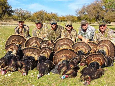 Turkey Hunting Gallery Image 8