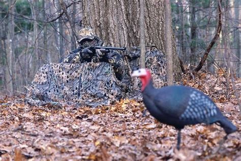 Turkey Hunting Quiet and Still