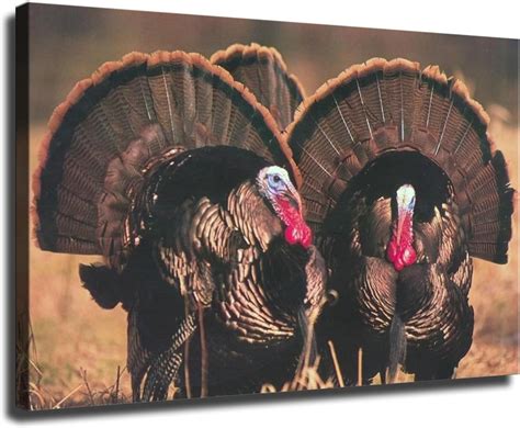 Turkey Prints for Bedroom