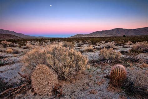 Twilight Desert Color Combination