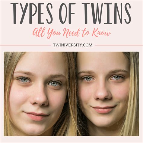 Twin Meaning