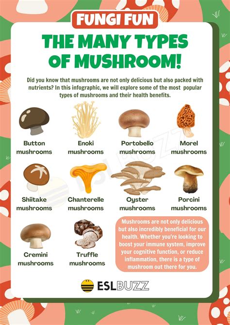 Types of Mushroom Events