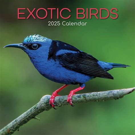 Types of Bird Calendars