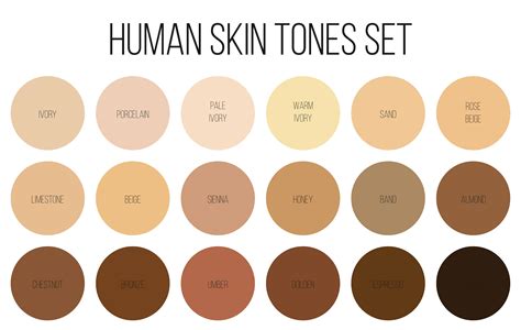 Types of brown skin color palettes