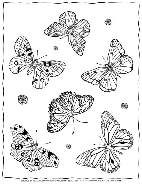 Types of Butterfly Coloring Pages