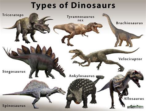 Types of dinosaurs in coloring pages