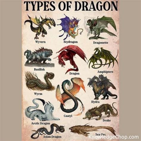 Variety of free dragon pages