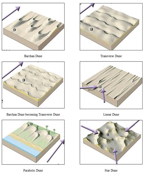 Types of Dunas