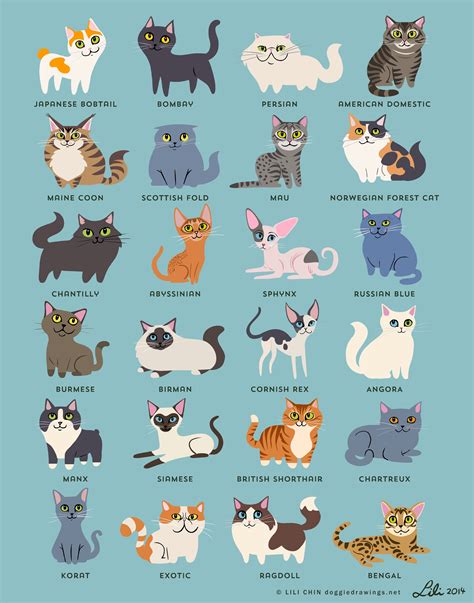 Types of free cat printable art designs