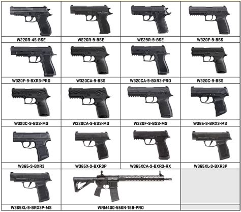 Types of Sig Sauer Guns