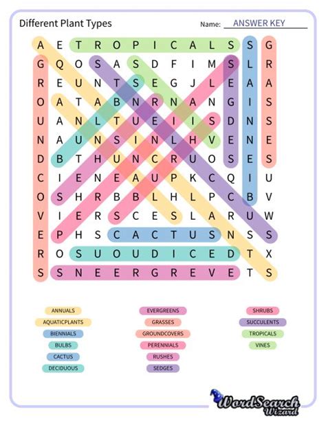 Types of Word Search Printables