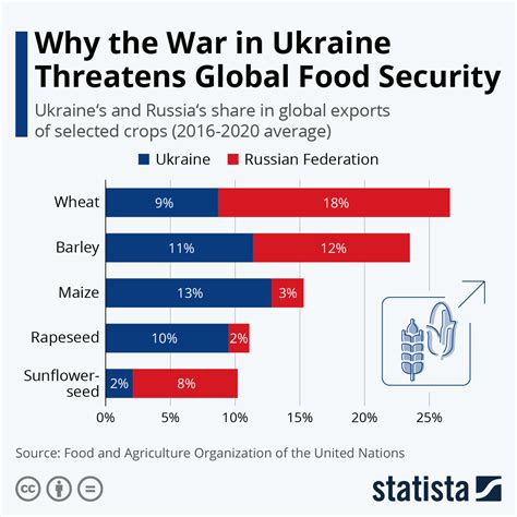 Ukraine's Role in Global Security