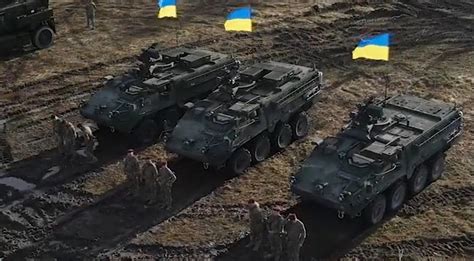 Ukrainian Army Striker Modernization