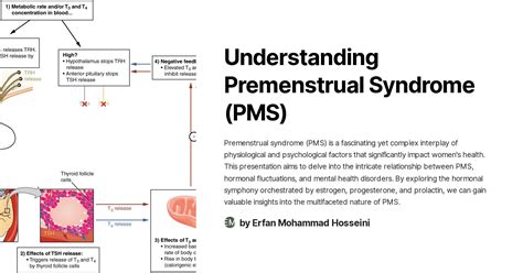 Understanding PMS Calendar