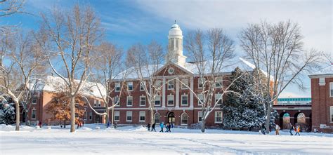 University of Maine Orono Faculty