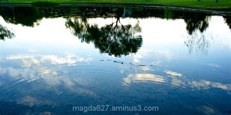 Upside Down Landscapes