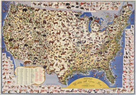 U.S. Wildlife Map