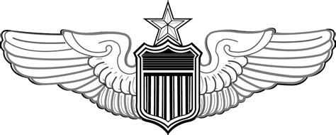 USAF Pilot Wings Requirements