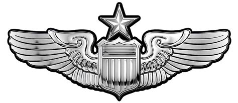 USAF Senior Pilot Wings