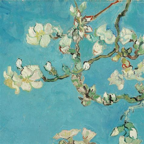 Van Gogh's Almond Blossom