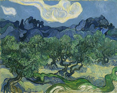 Van Gogh's Olive Trees