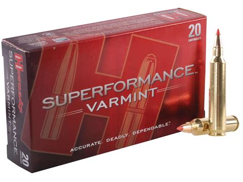 Varmint hunting ammunition