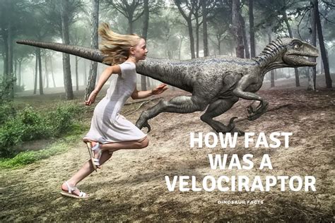 Velociraptor speed estimate