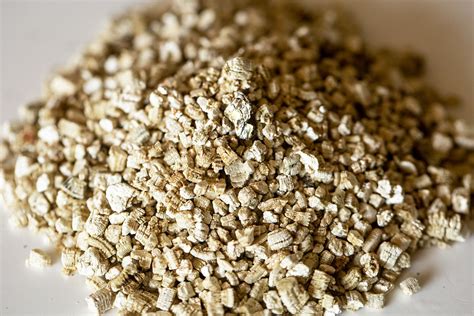 Vermiculite Alternative to Dirt