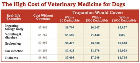 Vet costs and insurance