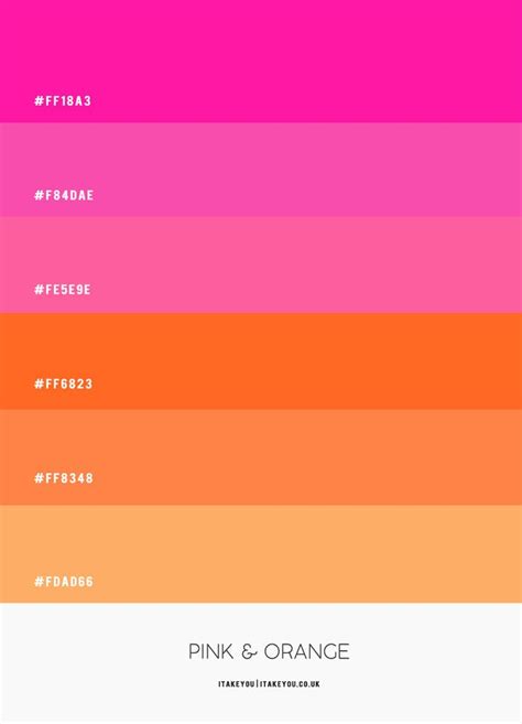 Vibrant Orange Pink Color Palette Inspiration