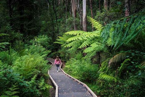 Victoria Parks and Trails