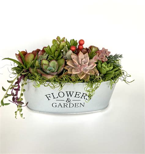 Vintage Chic Succulent Arrangement