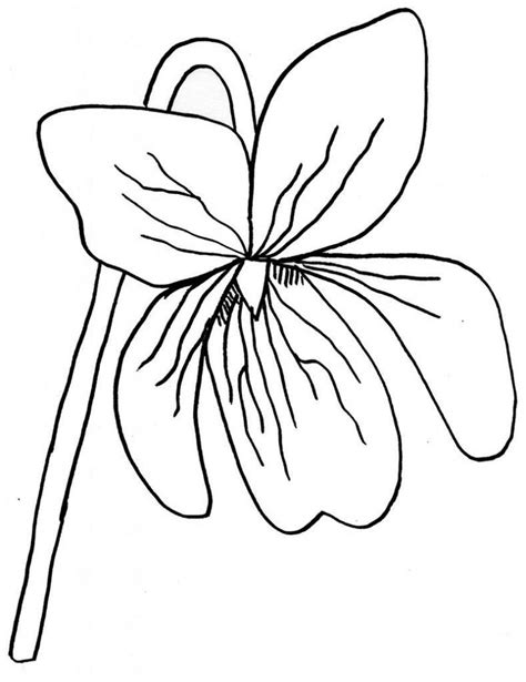 Violet Coloring Pages