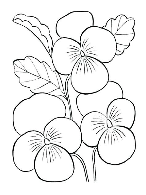 Violet flower coloring pages printable for relaxation