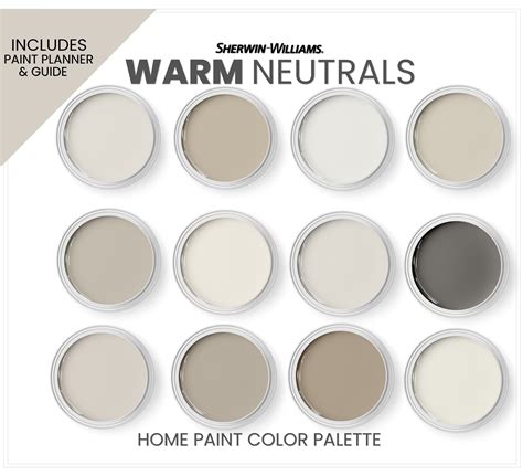 Warm Beige Color Palette