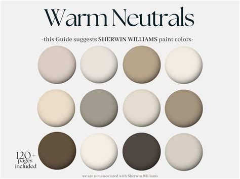 Warm Beige Shade