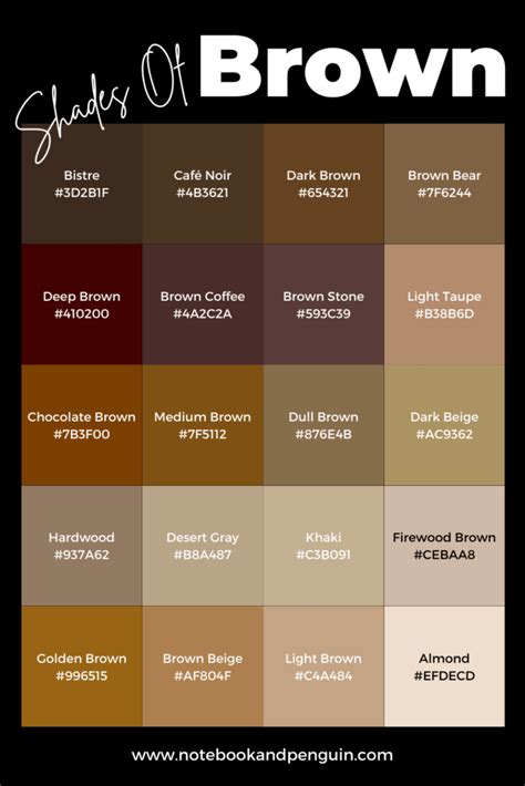 Warm Brown Color Palette