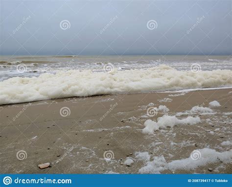 Warm Whites: A Reflection of Sea Foam and Sandy Shores