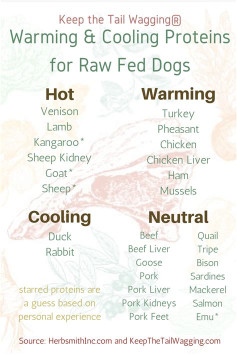 Warming food to make it more appealing to a dog