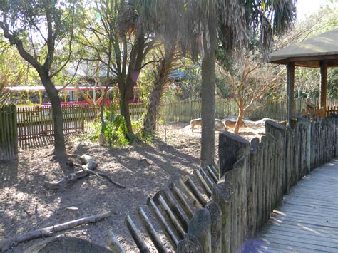 Warthog enclosure