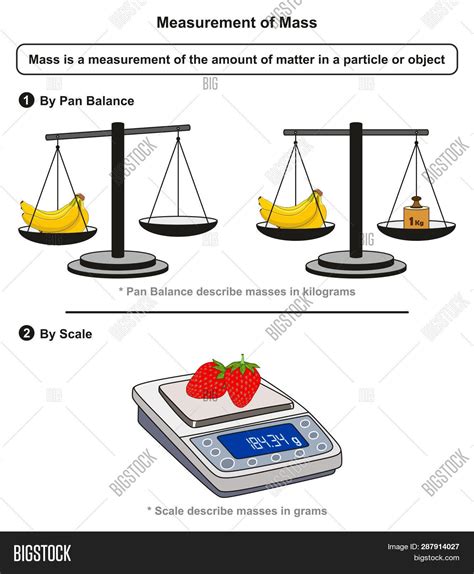 Importance of Weight Measurement