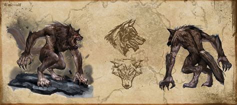 Werewolf Design