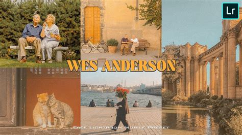 Wes Anderson's Earth Tones