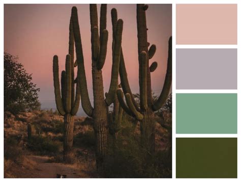 Western color palette image 4