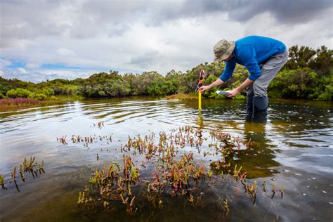 Wetland restoration project