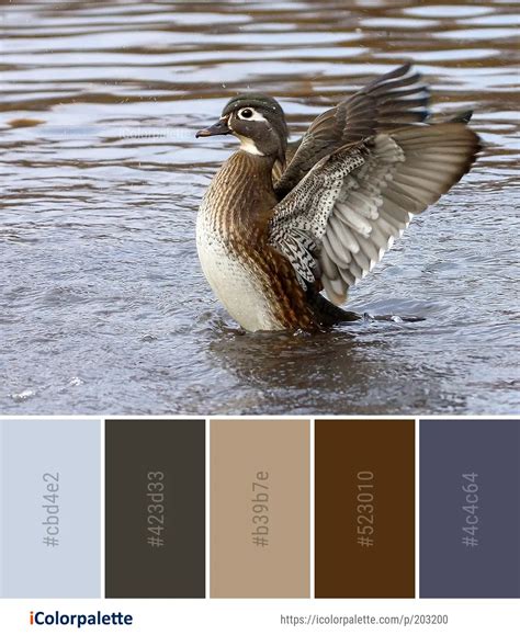 White Duck Color Palette Inspiration